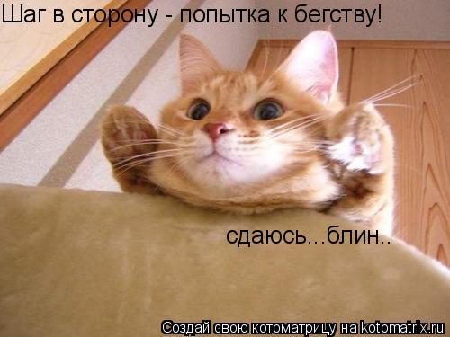 Котоматрица: Шаг в сторону - попытка к бегству! сдаюсь...блин..