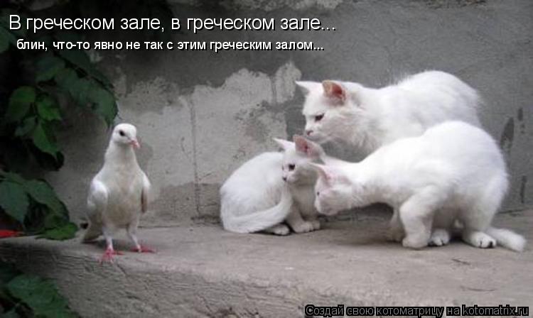 Котоматрица: В греческом зале, в греческом зале... блин, что-то явно не так с этим греческим залом...