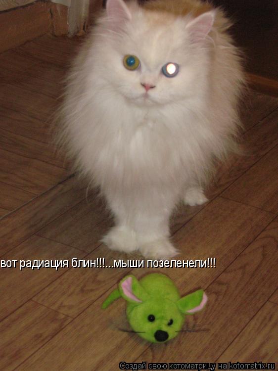 Котоматрица: вот радиация блин!!!...мыши позеленели!!!