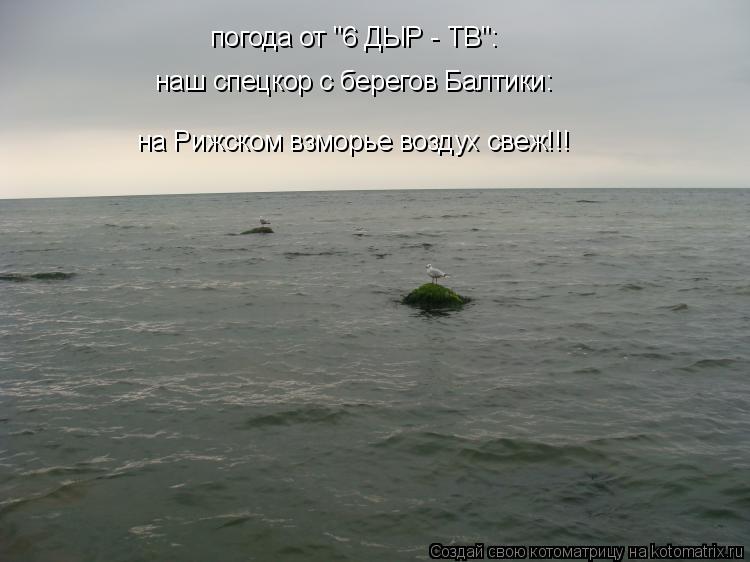 Котоматрица: погода от "6 ДЫР - ТВ": наш спецкор с берегов Балтики: на Рижском взморье воздух свеж!!!