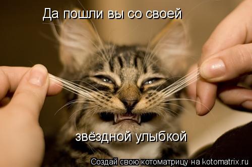 Котоматрица: Да пошли вы со своей звёздной улыбкой