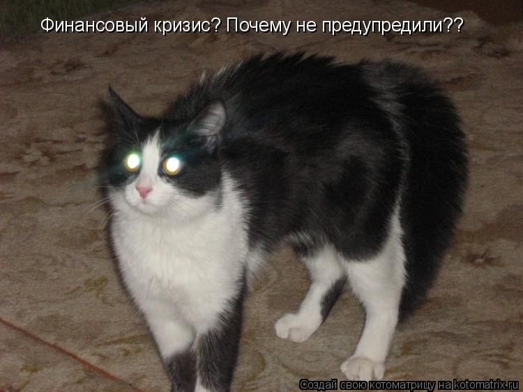 Котоматрица: Финансовый кризис? Почему не предупредили??