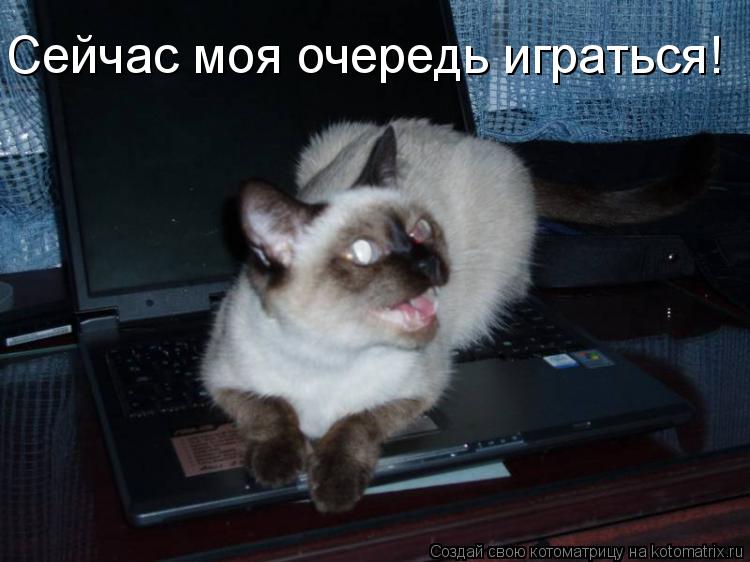 Сейчас моя очередь играться!... Котоматрица: Сейчас моя очередь играться!