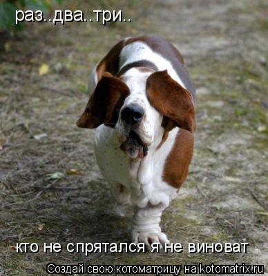 Котоматрица: раз..два..три.. кто не спрятался я не виноват
