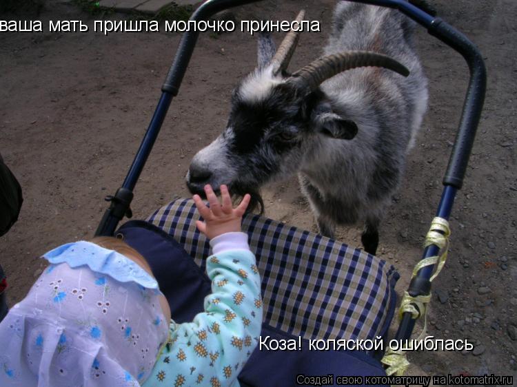 Котоматрица: ваша мать пришла молочко принесла Коза! коляской ошиблась