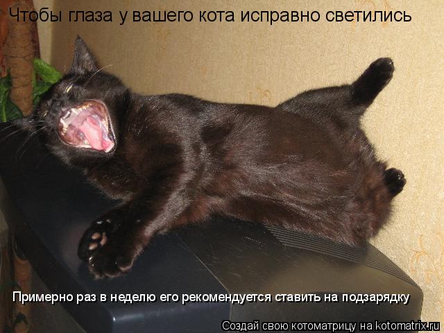 Котоматрица: Чтобы глаза у вашего кота исправно светились Примерно раз в неделю его рекомендуется ставить на подзарядку