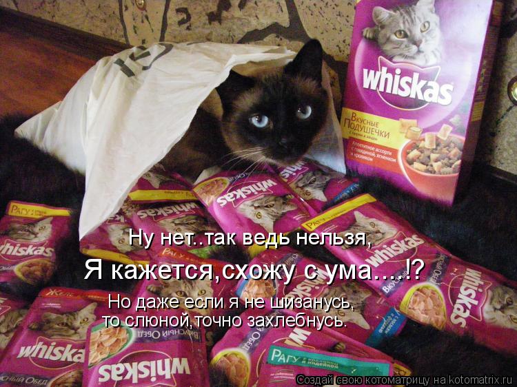 Котоматрица: Ну нет..так ведь нельзя, Я кажется,схожу с ума....!? Но даже если я не шизанусь, то слюной,точно захлебнусь.