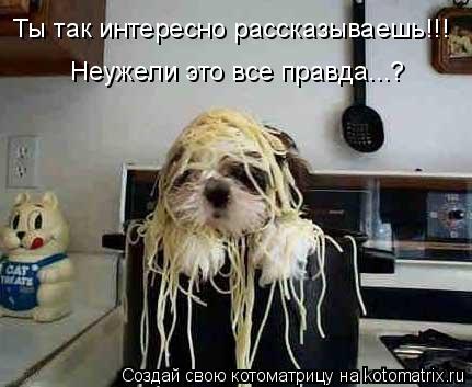 Котоматрица: Ты так интересно рассказываешь!!!  Неужели это все правда...?