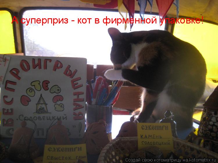 Котоматрица: А суперприз - кот в фирменной упаковке!