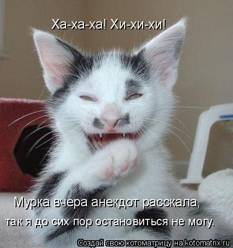 Котоматрица: Ха-ха-ха! Хи-хи-хи! Мурка вчера анекдот расскала, так я до сих пор остановиться не могу.