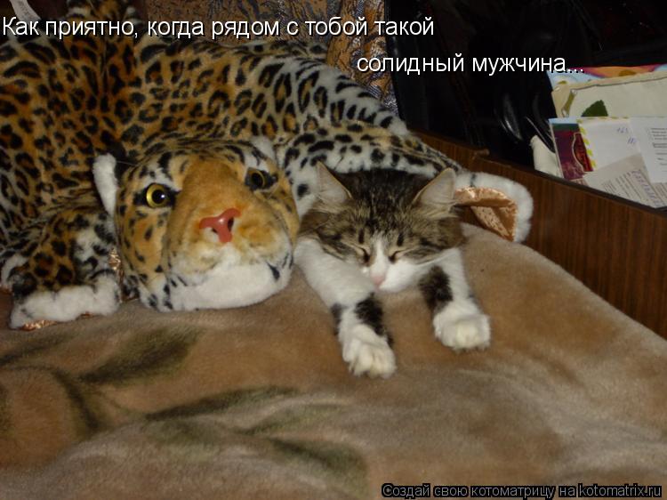 Как приятно, когда рядом с тобой такой солидный мужчина...... Котоматрица: Как приятно, когда рядом с тобой такой солидный мужчина...