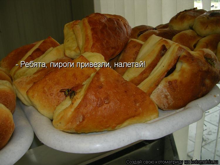 Котоматрица: - Ребята, пироги привезли, налетай!