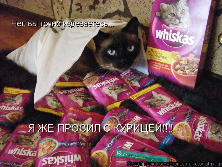 Котоматрица: Нет, вы точно издеваетесь...  Я ЖЕ ПРОСИЛ С КУРИЦЕЙ!!!!