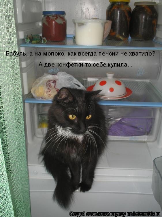 Бабуль, а на молоко, как всегда пенсии не хватило? А две конфетки то себе купила...... Котоматрица: Бабуль, а на молоко, как всегда пенсии не хватило? А две конфетки то себе купила...