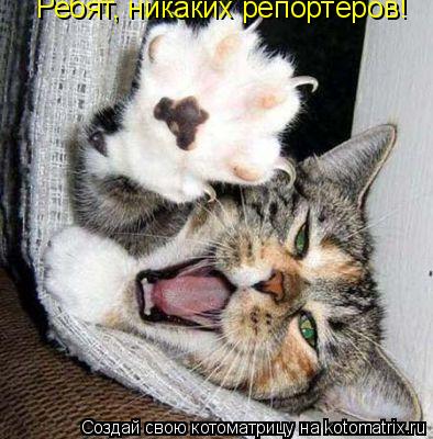 Котоматрица: Ребят, никаких репортёров!