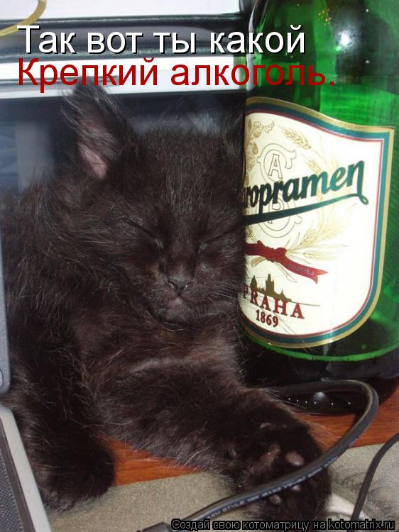 Так вот ты какой Крепкий алкоголь.... Котоматрица: Так вот ты какой Крепкий алкоголь.