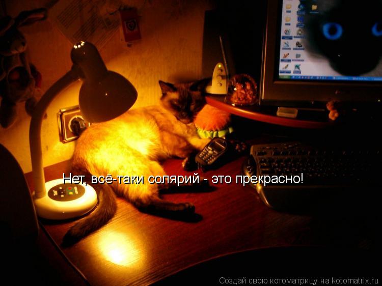 Котоматрица: Нет, всё-таки солярий - это прекрасно!
