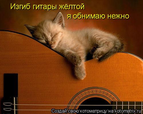 Изгиб гитары жёлтой я обнимаю нежно... Котоматрица: Изгиб гитары жёлтой я обнимаю нежно