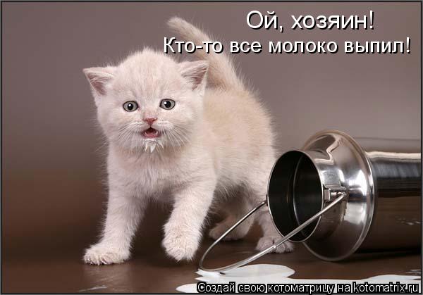 Ой, хозяин! Кто-то все молоко выпил!... Котоматрица: Ой, хозяин! Кто-то все молоко выпил!