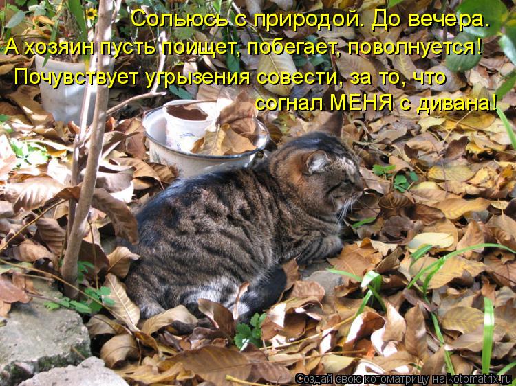 А хозяин пусть поищет, побегает, поволнуется! Почувствует угрызения совести, за то, что согнал МЕНЯ с... Котоматрица: А хозяин пусть поищет, побегает, поволнуется! Почувствует угрызения совести, за то, что согнал МЕНЯ с дивана! Сольюсь с природой. До вечера.