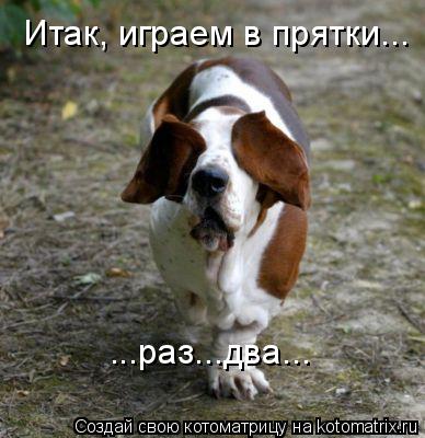 Котоматрица: Итак, играем в прятки... ...раз...два...