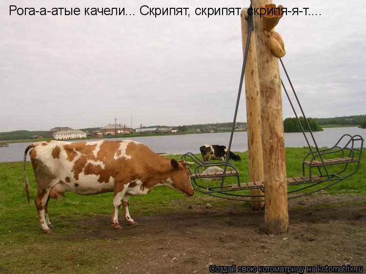 Котоматрица: Рога-а-атые качели... Скрипят, скрипят, скрипя-я-т....