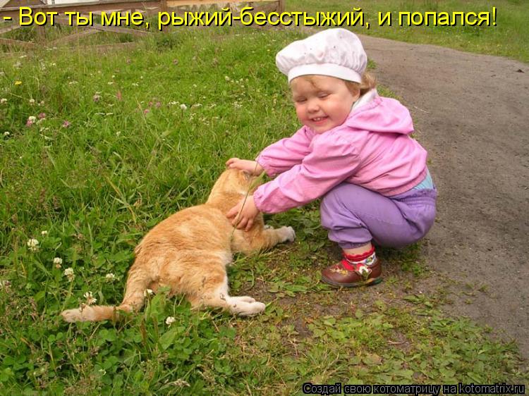 Котоматрица: - Вот ты мне, рыжий-бесстыжий, и попался!