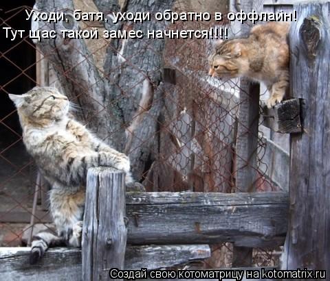 Котоматрица: Уходи, батя, уходи обратно в оффлайн! Тут щас такой замес начнется!!!!