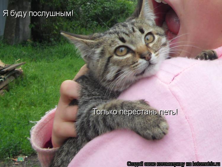 Я буду послушным! Только перестань петь!... Котоматрица: Я буду послушным! Только перестань петь!