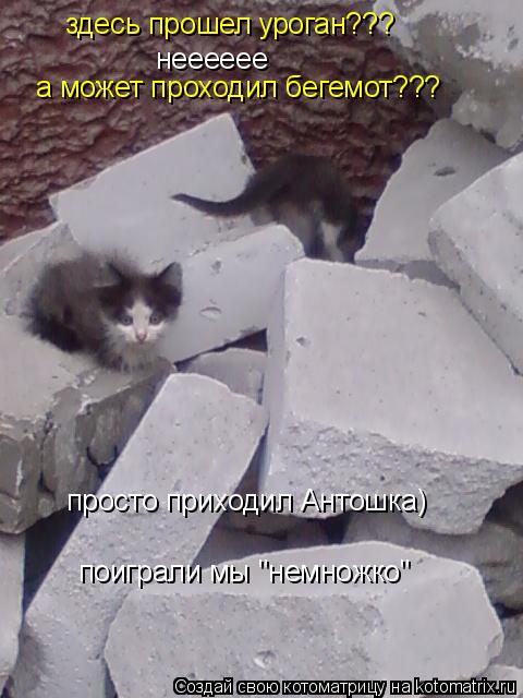 нееееее а может проходил бегемот??? здесь прошел уроган??? просто приходил Антошка) поиграли мы "нем... Котоматрица: нееееее а может проходил бегемот??? здесь прошел уроган??? просто приходил Антошка) поиграли мы "немножко"