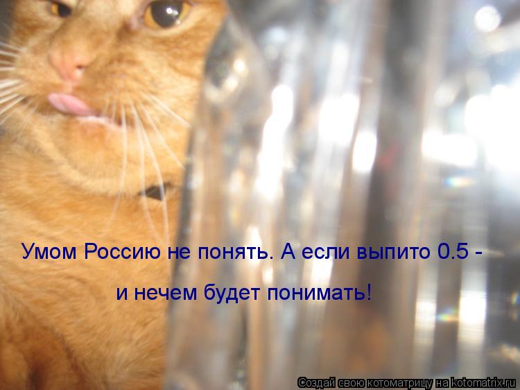 Котоматрица: Умом Россию не понять. А если выпито 0.5 -  и нечем будет понимать!