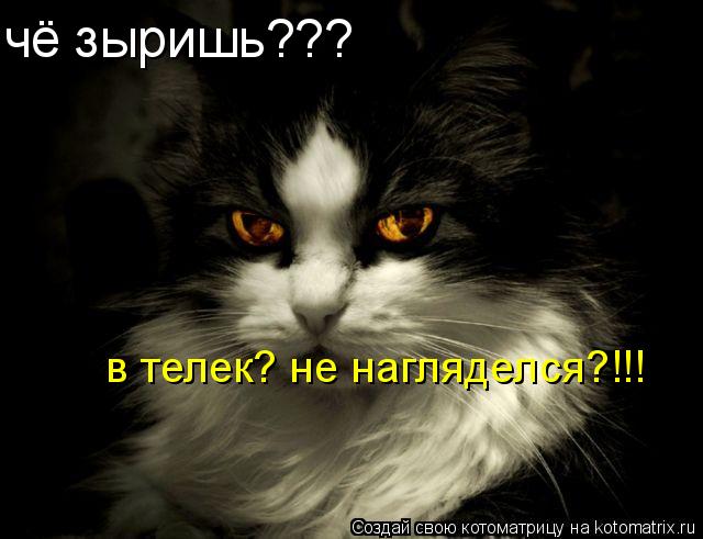 чё зыришь??? в телек-ненагляделся?!!! в телек? не нагляделся?!!! в телек? не нагляделся?!!!... Котоматрица: чё зыришь??? в телек-ненагляделся?!!! в телек? не нагляделся?!!! в телек? не нагляделся?!!!