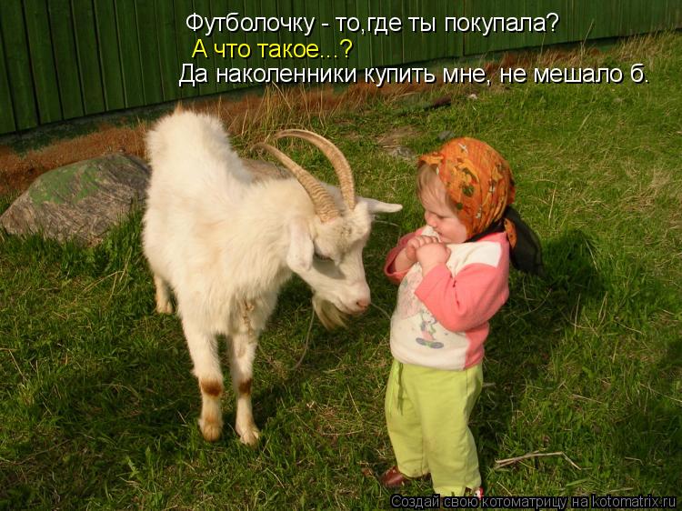 Котоматрица: Футболочку - то,где ты покупала? А что такое...? Да наколенники купить мне, не мешало б.