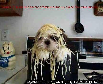 хотите от меня избавиться?зачем в лапшу суёте?конечно вкусно но обидно хотите от меня избавиться?заче... Котоматрица: хотите от меня избавиться?зачем в лапшу суёте?конечно вкусно но обидно хотите от меня избавиться?зачем в лапшу суёте?конечно вкусно хотите