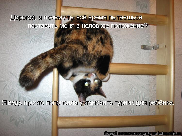 Дорогой, и почему ты всё время пытаешься поставить меня в неловкое положение? Я ведь просто попросил... Котоматрица: Дорогой, и почему ты всё время пытаешься поставить меня в неловкое положение? Я ведь просто попросила установить турник для ребёнка.
