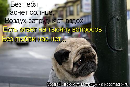 Котоматрица: Без тебя Гаснет солнце, Воздух затрудняет вздох Есть ответ на тысячу вопросов Без любви нас нет...