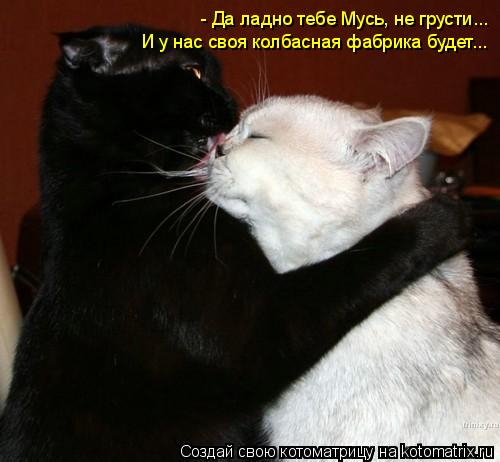 - Да ладно тебе Мусь, не грусти... И у нас своя колбасная фабрика будет...... Котоматрица: - Да ладно тебе Мусь, не грусти... И у нас своя колбасная фабрика будет...