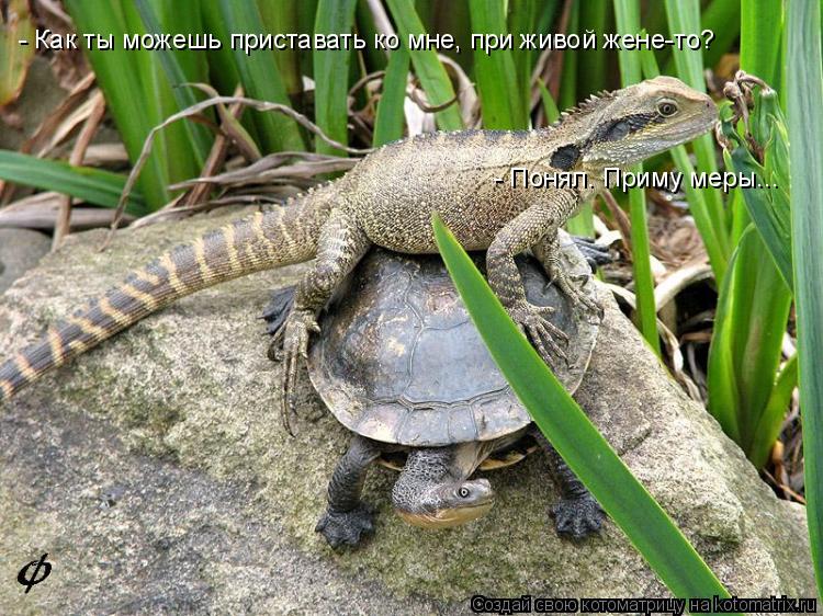 - Как ты можешь приставать ко мне, при живой жене-то? - Понял. Приму меры...... Котоматрица: - Как ты можешь приставать ко мне, при живой жене-то? - Понял. Приму меры...