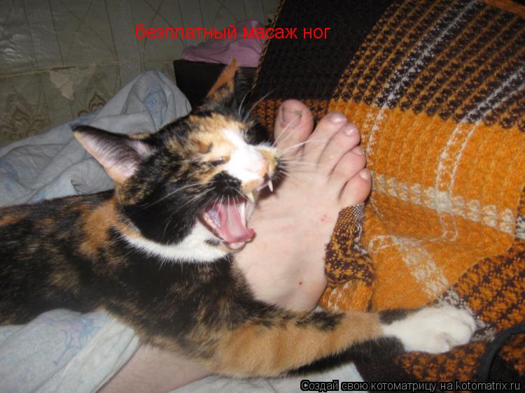Котоматрица: безплатный масаж ног безплатный масаж ног