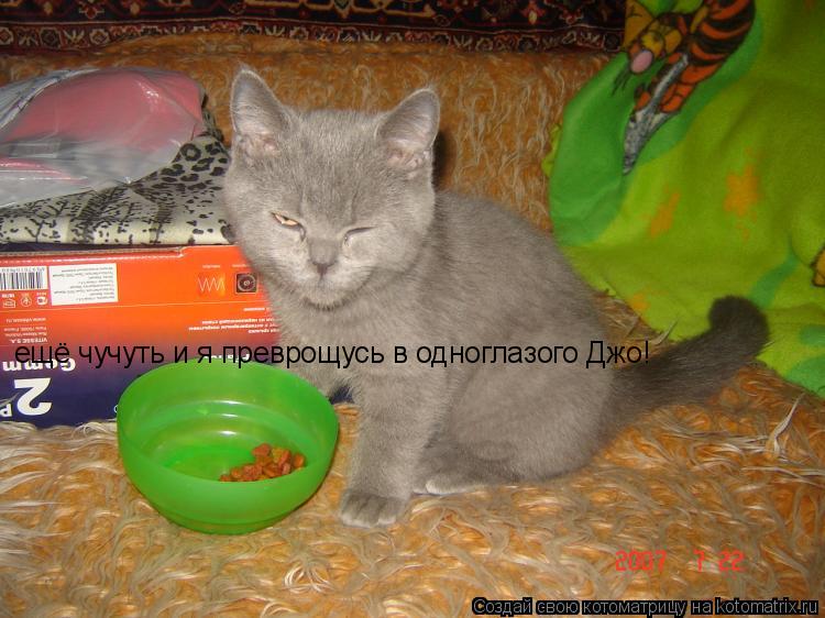 Котоматрица: ещё чучуть и я преврощусь в одноглазого Джо!