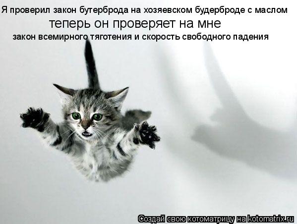 Котоматрица: Я проверил закон бутерброда на хозяевском будерброде с маслом теперь он проверяет на мне  закон всемирного тяготения и скорость свободног