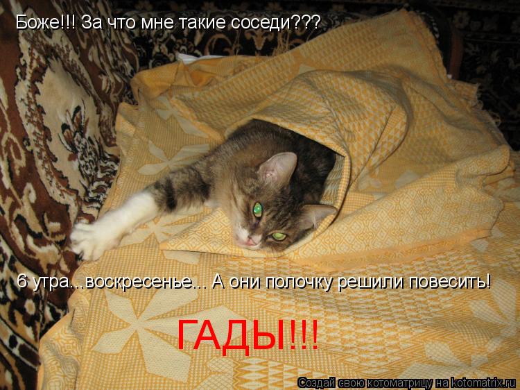 Боже!!! За что мне такие соседи??? 6 утра...воскресенье... А они полочку решили повесить! ГАДЫ!!!... Котоматрица: Боже!!! За что мне такие соседи??? 6 утра...воскресенье... А они полочку решили повесить! ГАДЫ!!!