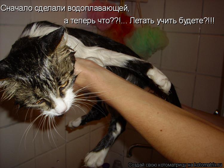 Сначало сделали водоплавающей, а теперь что??!... Летать учить будете?!!!... Котоматрица: Сначало сделали водоплавающей, а теперь что??!... Летать учить будете?!!!
