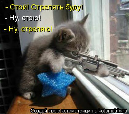 Котоматрица: - Стой! Стрелять буду! - Ну, стою! - Ну, стреляю!
