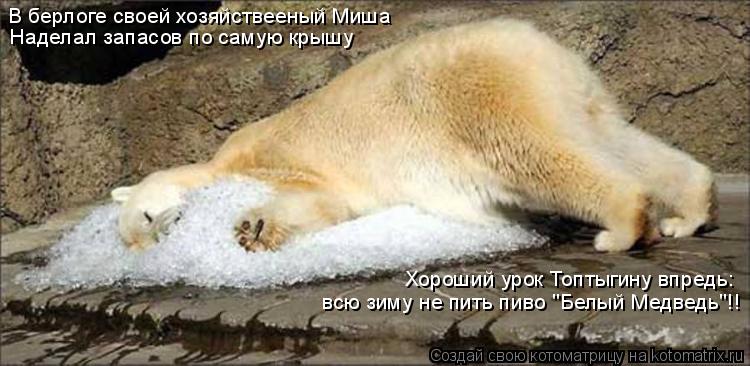 Котоматрица: В берлоге своей хозяйствееный Миша Наделал запасов по самую крышу Хороший урок Топтыгину впредь: всю зиму не пить пиво "Белый Медведь"!!