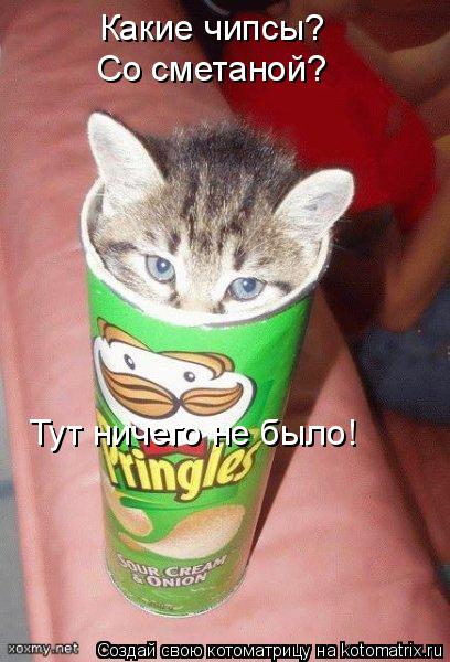 Котоматрица: Какие чипсы? Со сметаной? Тут ничего не было!