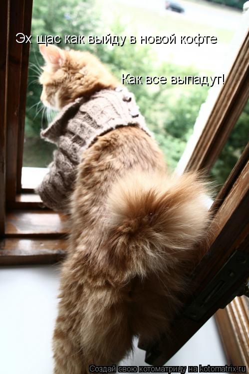 Котоматрица: Эх щас как выйду в новой кофте Как все выпадут!