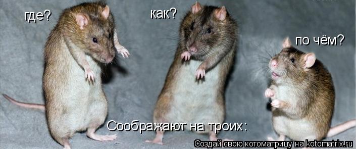 Котоматрица: Соображают на троих: где? как? по чём?