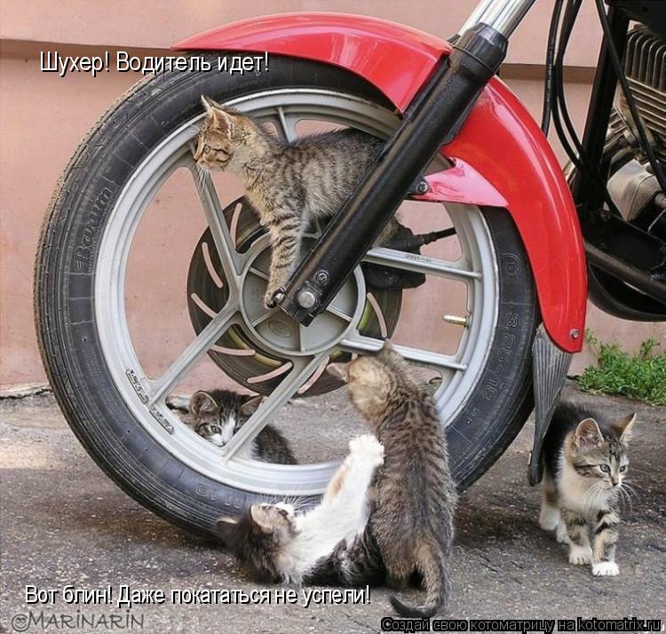 Котоматрица: Шухер! Водитель идет! Вот блин! Даже покататься не успели!