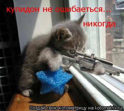 Котоматрица: купидон не ошибаеться... никогда